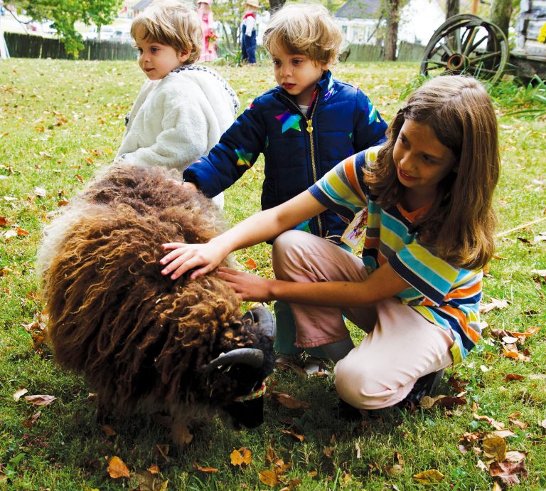 Heritage Day marks successful season at pioneer village