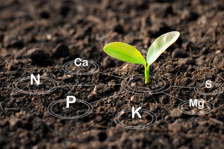 Soil Health Workshop set for Nov. 16