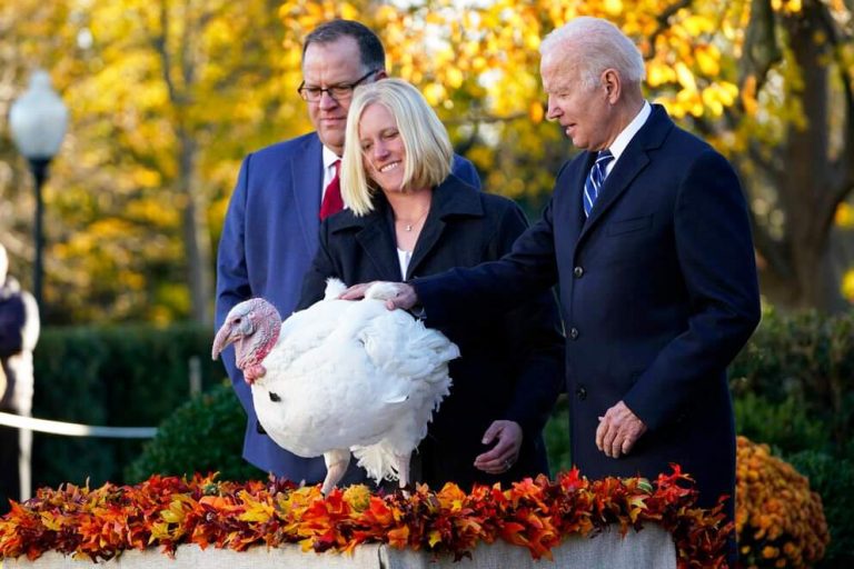 A couple of male turkeys walked into the White House…