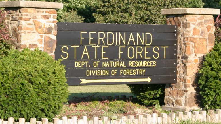 First Day Hike at Ferdinand State Forest