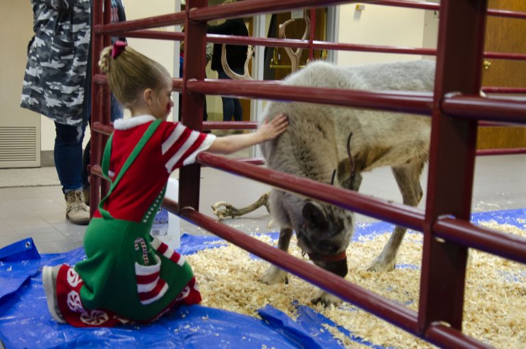 Photo Gallery: Reindeer Games at the Rockport Library