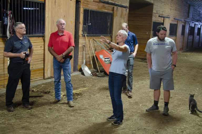 Back in the Saddle at Farmhouse Stables