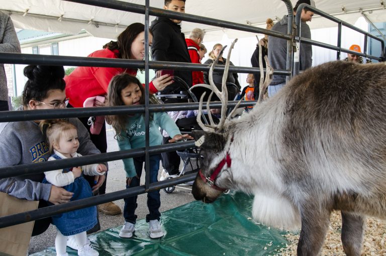 Real reindeer pay a visit to Santa Claus