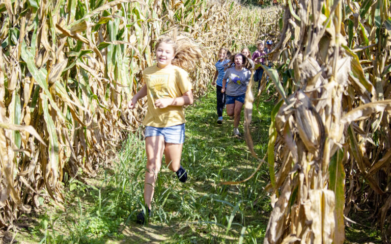 Fun field trips at Lakeview Orchard