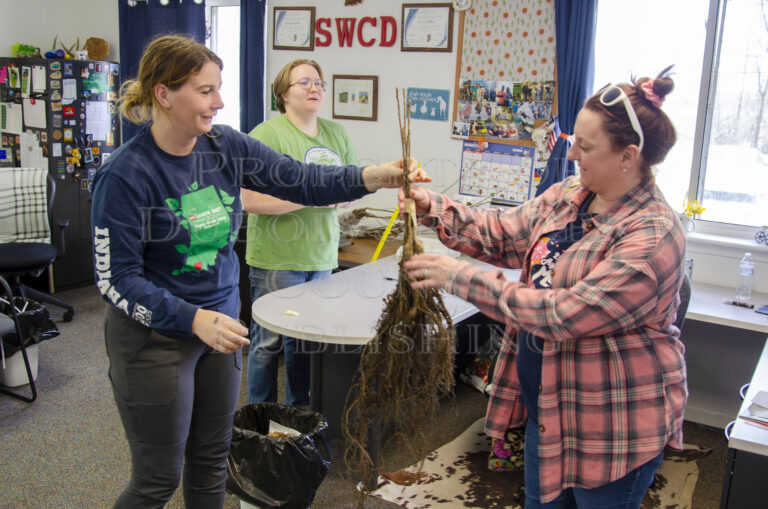 Hundreds of trees take their leave during SWCD giveaway